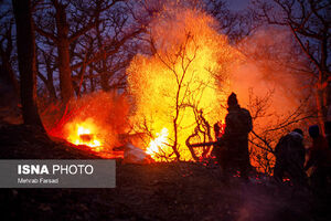 80 درصد آتش‌سوزی جنگل‌های هیرکانی مهار شد