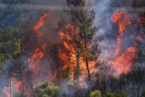 استفاده از ماهواره خیام برای مهار آتش‌سوزی جنگل‌های هیرکانی