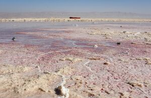 عکس/ خشک شدن دریاچه مهارلو شیراز