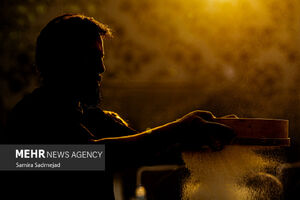 عکس/آیین سنتی سمنوپزان در میدان امام حسین (ع)