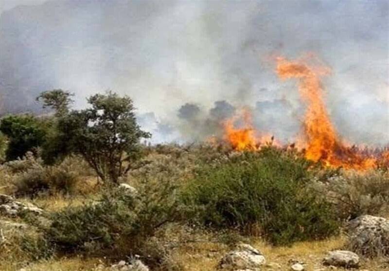 تازه‌ترین اخبار از عملیات اطفای حریق جنگل‌های الیت/ دامنه آتش محدود شد/‌ تیم‌های صخره‌نوردی به میدان آمدند