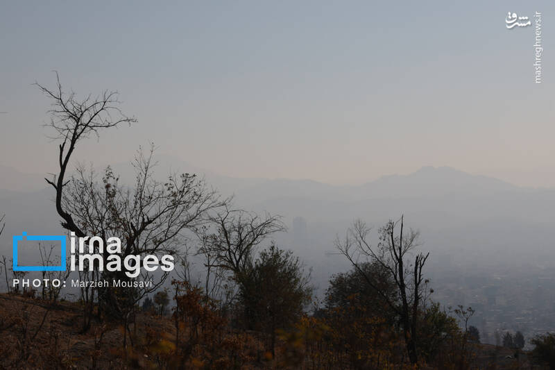 عکس / هوای نارنجی تهران 9