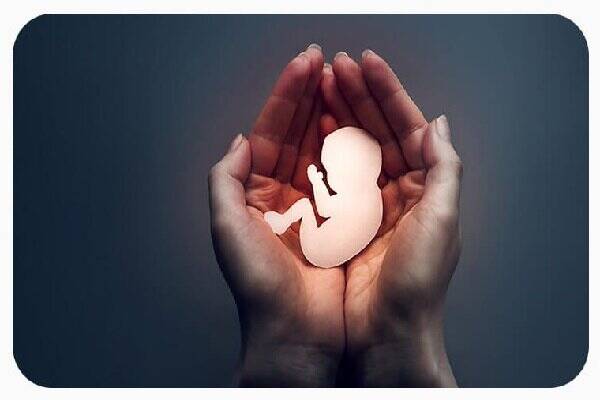 فیلم/ طرحی که جلوی سقط ۱۹۰۰۰ جنین را گرفت