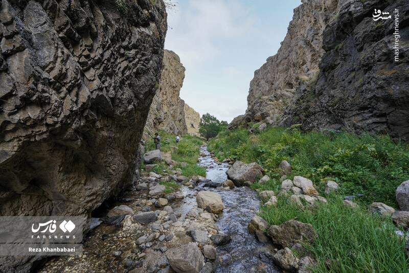 عکس / پل معلق "ورگه‌سران" نوآوری ایرانی در ارتفاع 100 متری 9