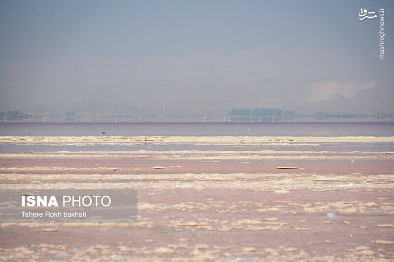 عکس / خشک شدن دریاچه مهارلو شیراز 20
