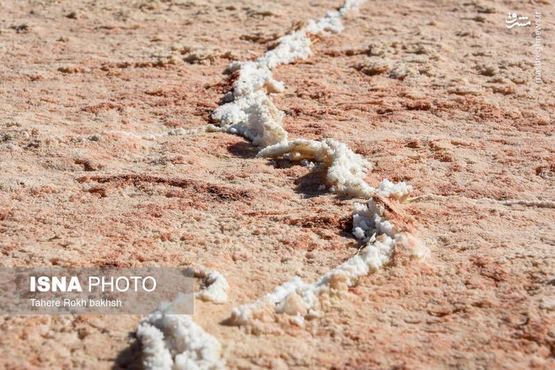 عکس / خشک شدن دریاچه مهارلو شیراز 14