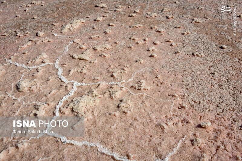 عکس / خشک شدن دریاچه مهارلو شیراز 3