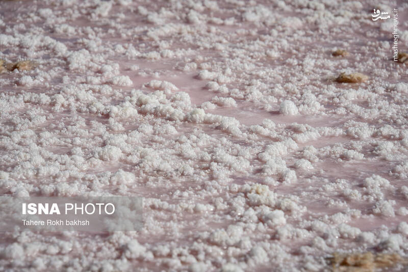 عکس / خشک شدن دریاچه مهارلو شیراز 2