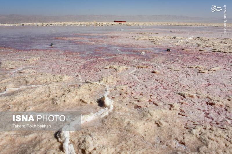 عکس / خشک شدن دریاچه مهارلو شیراز