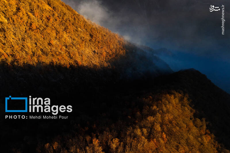 عکس / مهار آتش در جنگل الیت 2