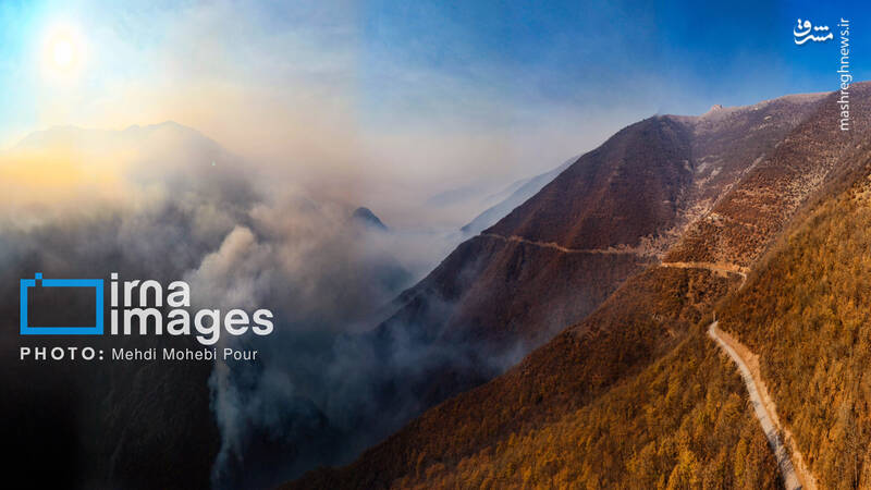 عکس / مهار آتش در جنگل الیت 24