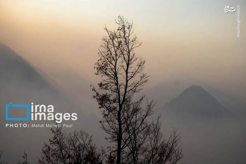 عکس / مهار آتش در جنگل الیت 27