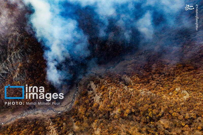 عکس / مهار آتش در جنگل الیت 44