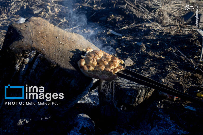 عکس / مهار آتش در جنگل الیت 42