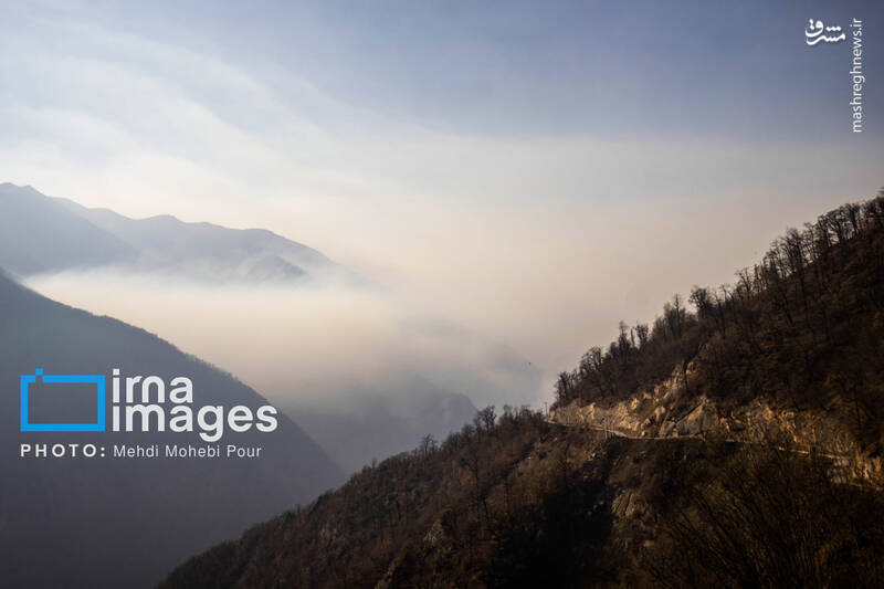 عکس / مهار آتش در جنگل الیت 41