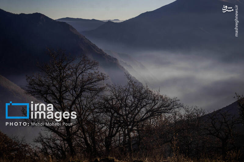 عکس / مهار آتش در جنگل الیت 45