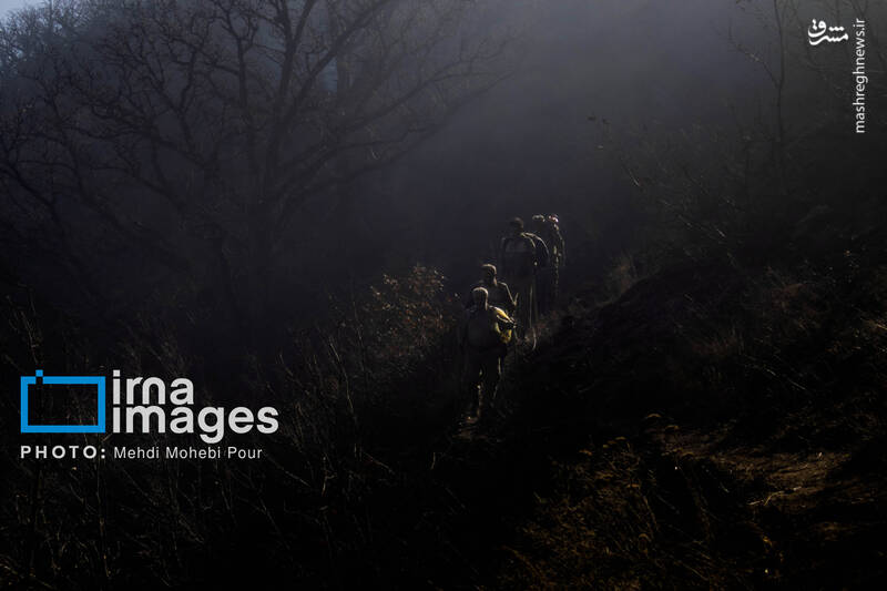 عکس / مهار آتش در جنگل الیت 37