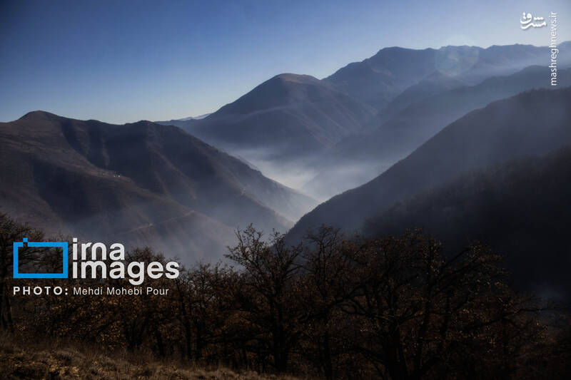 عکس / مهار آتش در جنگل الیت 34