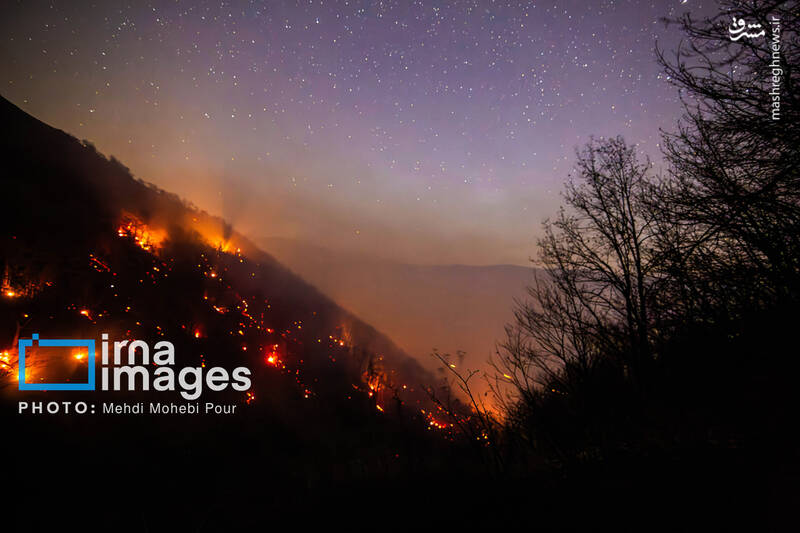 عکس / مهار آتش در جنگل الیت 19