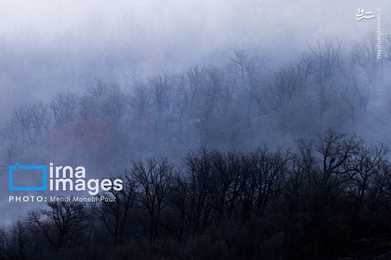 عکس / مهار آتش در جنگل الیت 14