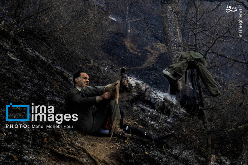 عکس / مهار آتش در جنگل الیت 11