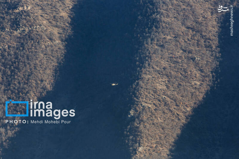 عکس / مهار آتش در جنگل الیت 10