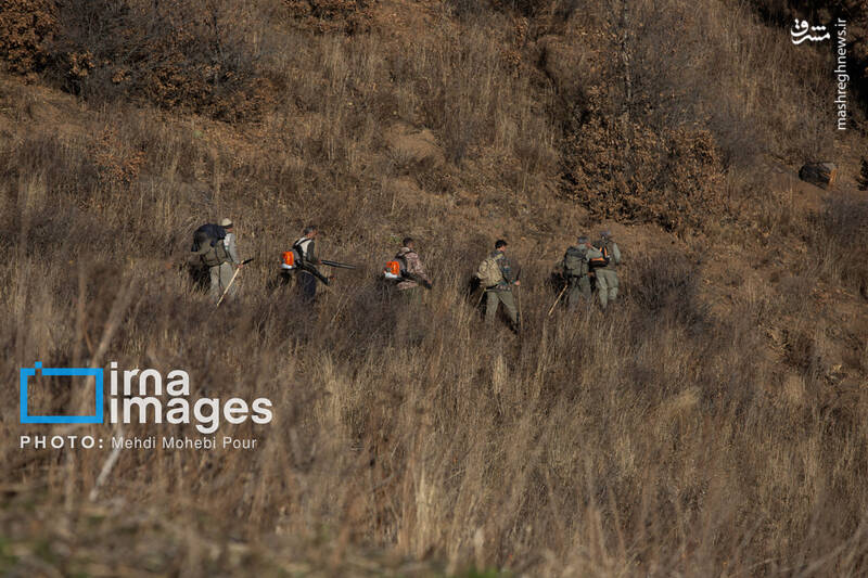 عکس / مهار آتش در جنگل الیت 7