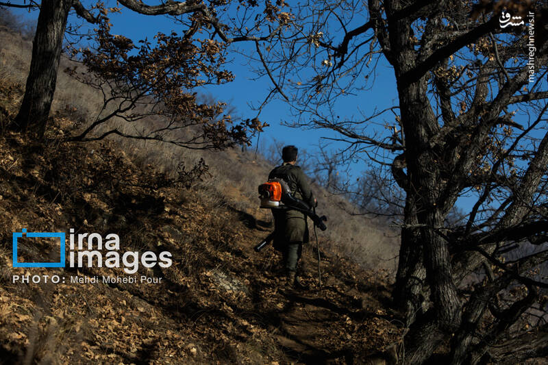 عکس / مهار آتش در جنگل الیت 5