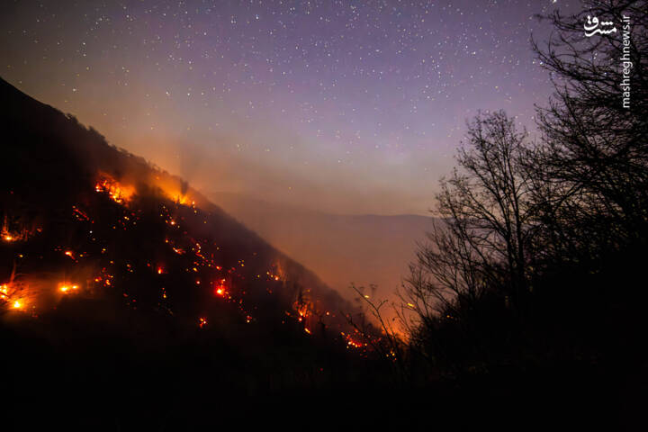 عکس/ مهار آتش‌ در جنگل الیت