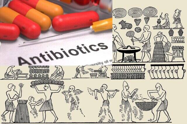نان،باستان،درمان،پزشكي،كپك،مصريان،فلمينگ،مدرن،كشف،عنوان،ضدمي ...