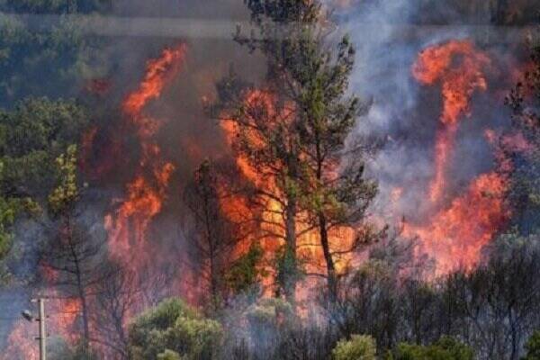 اليت،آتش،حفاظت،بحران،وضعيت،منابع