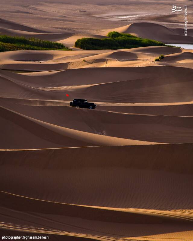 جلوهای ناب از رملهای کویر پساب یزد