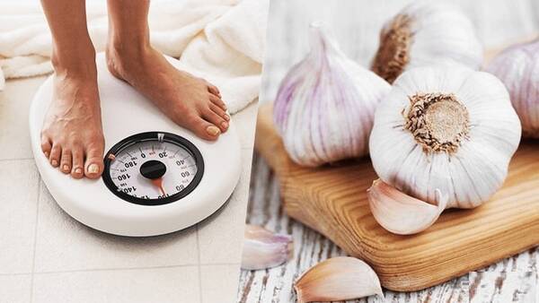 سير،مصرف،خام،وزن،كاهش،غذايي،بهبود،دفتر،گزارش