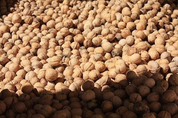 ارزش،دلار،گردوي