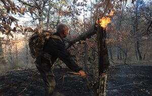 عکس / آتش سوزی در جنگل‌های گلستان