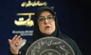 فیلم / جزئیات تصمیم دولت درباره بنزین از زبان مهاجرانی