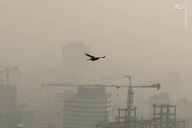 عکس/ تهران پنجمین شهر آلوده جهان
