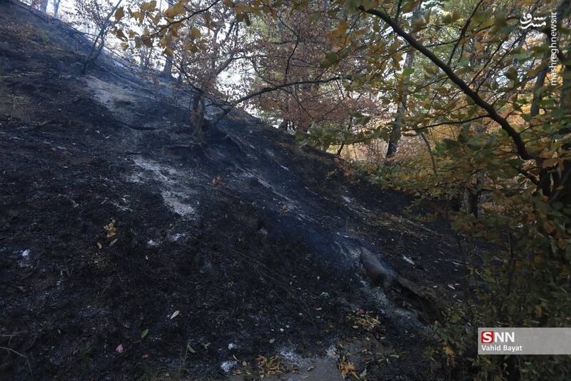 عکس / آتش سوزی در جنگل‌های گلستان 27