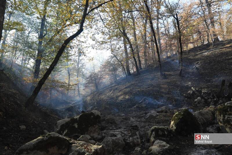عکس / آتش سوزی در جنگل‌های گلستان 26