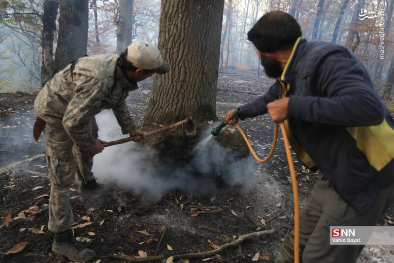 عکس / آتش سوزی در جنگل‌های گلستان 25