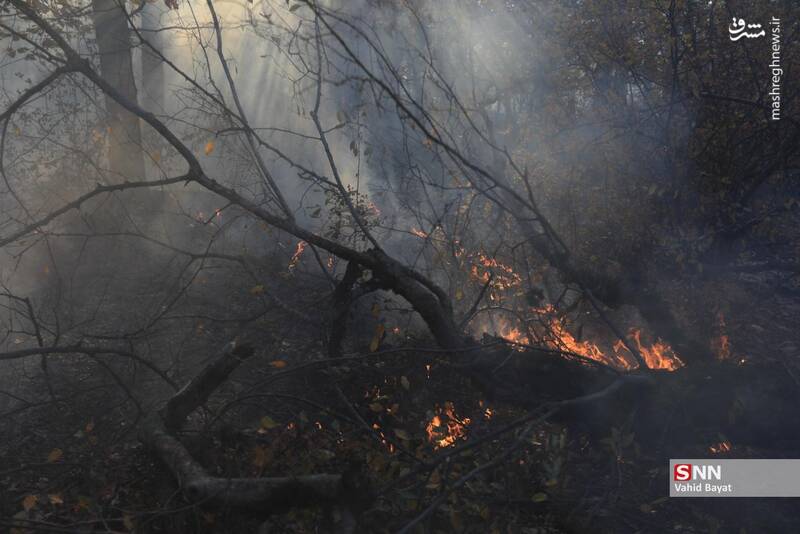 عکس / آتش سوزی در جنگل‌های گلستان 24