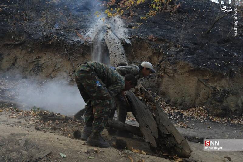 عکس / آتش سوزی در جنگل‌های گلستان 22