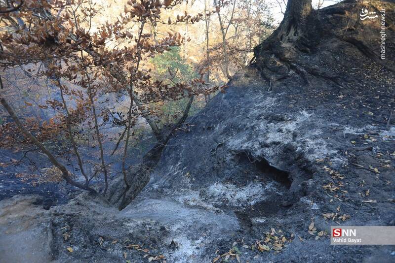 عکس / آتش سوزی در جنگل‌های گلستان 21