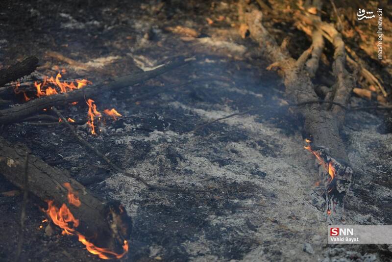عکس / آتش سوزی در جنگل‌های گلستان 20