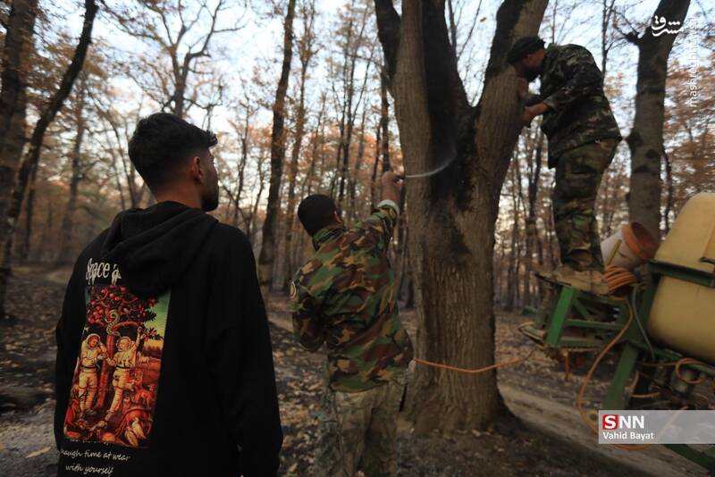 عکس / آتش سوزی در جنگل‌های گلستان 19