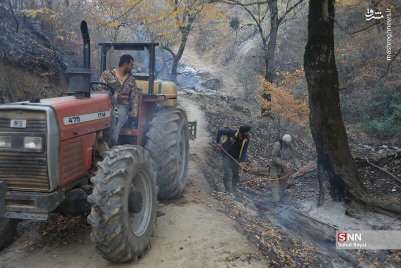 عکس / آتش سوزی در جنگل‌های گلستان 18