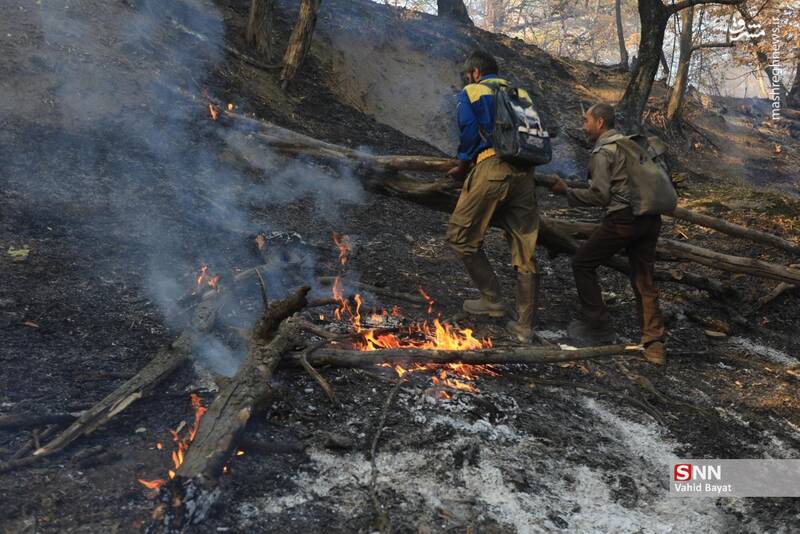 عکس / آتش سوزی در جنگل‌های گلستان 17