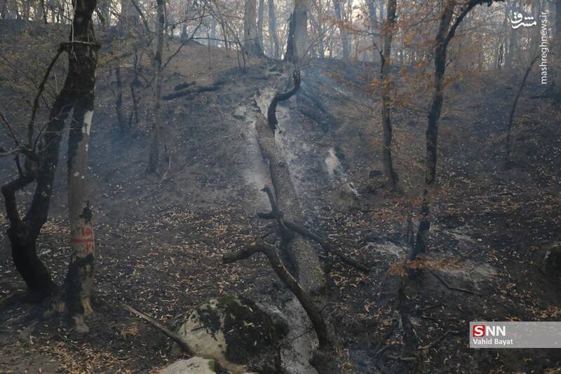 عکس / آتش سوزی در جنگل‌های گلستان 15