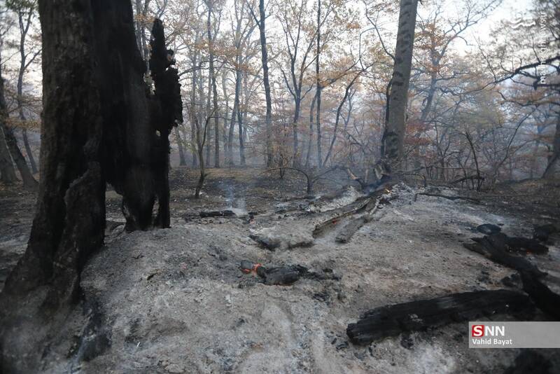 عکس / آتش سوزی در جنگل‌های گلستان 14