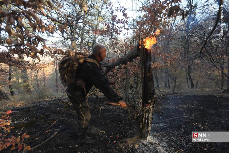 عکس / آتش سوزی در جنگل‌های گلستان 13